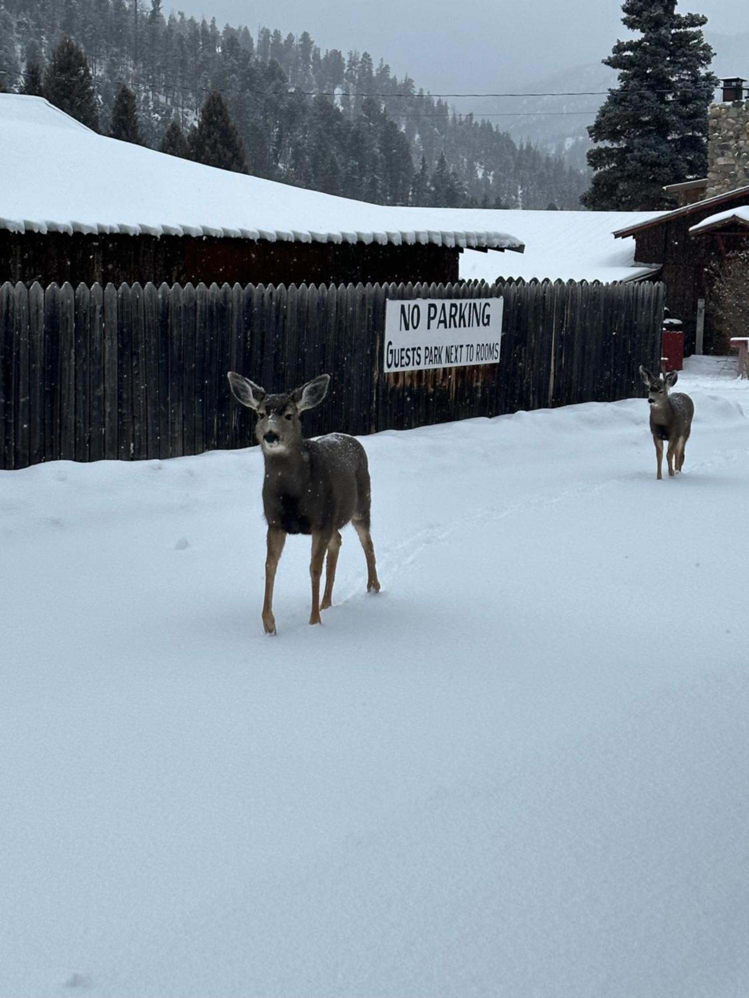 Deer Lodge Ред Ривър Екстериор снимка